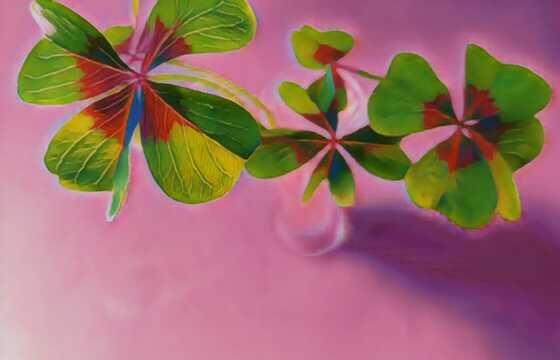 Tentoonstelling Bloemen
